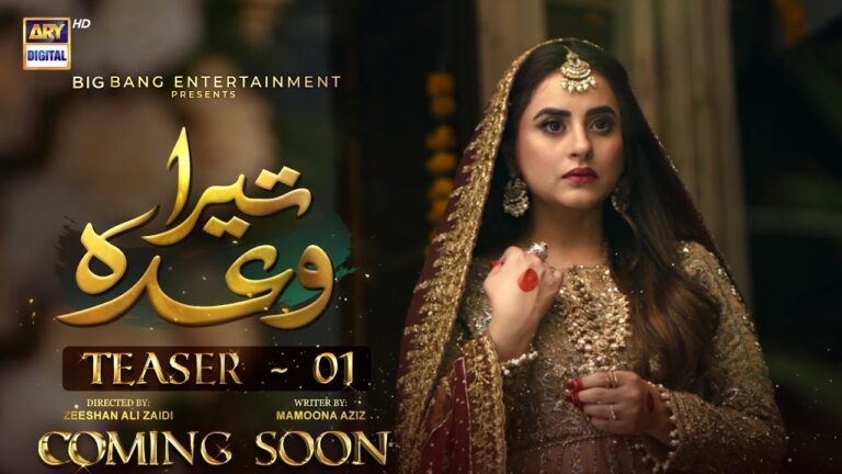 Tera Waada Pakistani Drama Cast, Story, Timing And Release Date