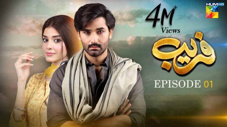 Fareb Pakistani Drama Cast, Story, Timing And Release Date
