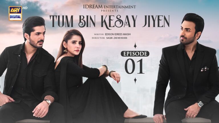 Tum Bin Kesay Jiyen Drama Cast, Story, Timing And Release Date