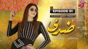 Ziddi Drama Cast, Story, Timing And Release Date