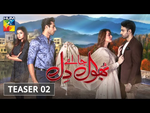 Bhool Jaa Ay Dil Drama Cast, Story, Timing And Release Date