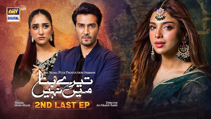 Tere Bin is a Pakistani drama serial presented by HAR PAL GEO With  Yumna Zaidi and Wahaj Ali as lead roles. The story happens in Hyderabad, where Murtasim Shahnawaz Khan, the leader of the village, finds out about problems with crops caused by Malik Mukhtar and his son Malik Zubair. Here We Present Pakistani Drama Tere Bin Cast, Story, and Release Date.